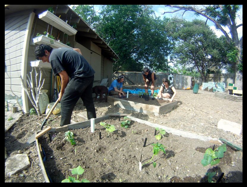 JAMES & JAMIE ROOTS Wicking Beds